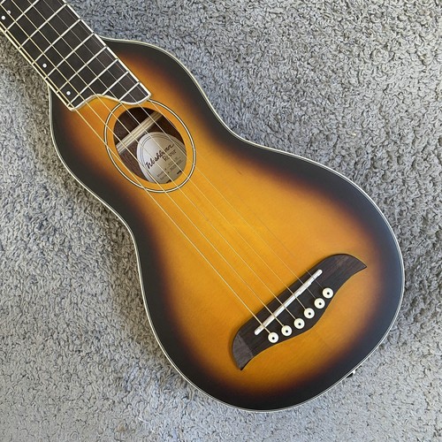 Washburn warrior chitarra - warrior,